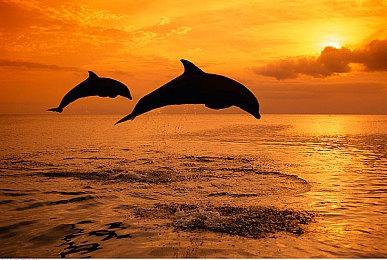 《战地2042》第3赛季预告：兵种分类系统即将回归