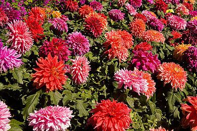 《战神：诸神黄昏》PC版新截图 画面太震撼了